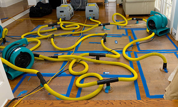 Professional Structural Drying And Dehumidification technician working in Strathmore, NJ